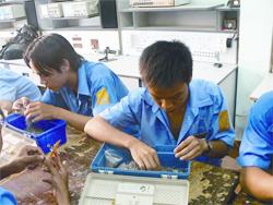 Tắc đường liên thông từ nghề lên đại học