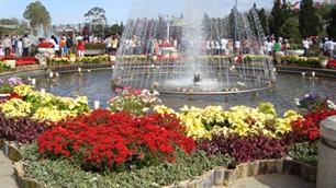 Tặng 27.000 vé tham quan Festival hoa Đà Lạt