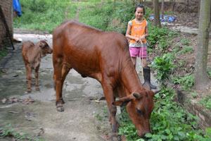 Tăng đầu tư cho giảm nghèo