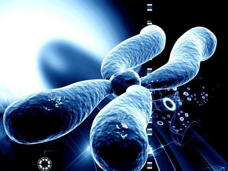 Tập luyện cường độ cao giúp duy trì tuổi thanh xuân