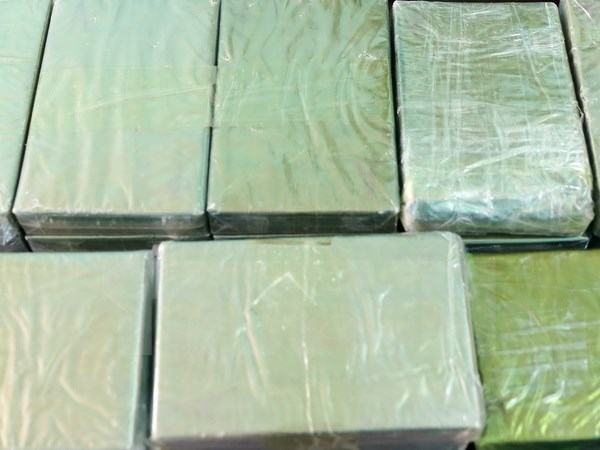 Tây Ban Nha, Italy tịch thu lượng ma túy lớn, bắt giữ 19 người