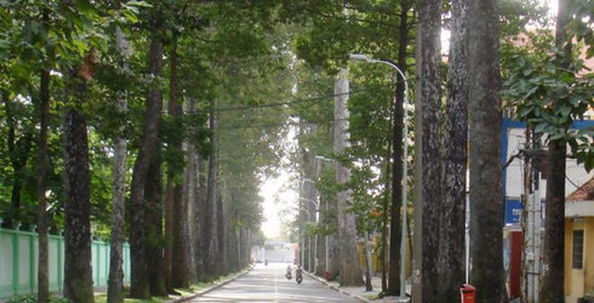 TP.HCM có thêm tên đường Võ Chí Công, Võ Trần Chí và Nguyễn Cơ Thạch