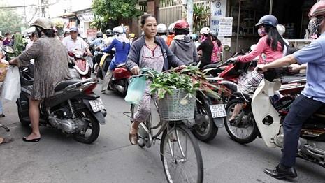 Tết Đoan Ngọ: Người Sài Gòn nô nức mua bánh ú, diệt sâu bọ - ảnh 2