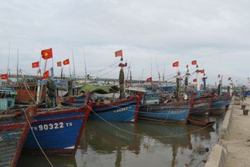 Thanh Hóa: Vẫn còn 567 tàu thuyền đang hoạt động ngoài khơi