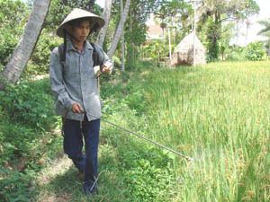 Thắp sáng giấc mơ ĐH