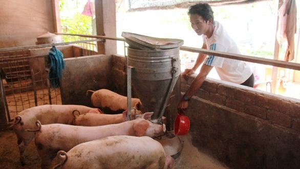 Thấp thỏm ‘phận’ giáo viên hợp đồng - Ảnh 11.