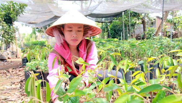 Thấp thỏm ‘phận’ giáo viên hợp đồng - Ảnh 12.