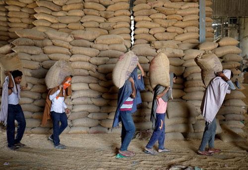 Thế giới ứng phó bão lạm phát - Ảnh 1. Thế giới ứng phó bão lạm phát - Ảnh 1.