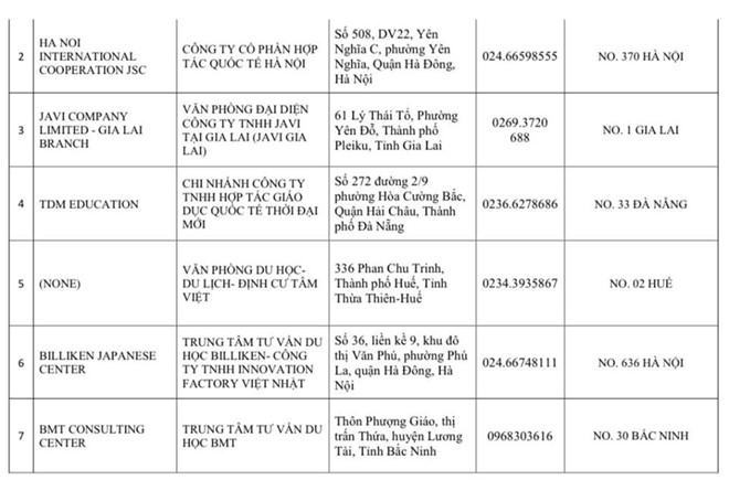 Thêm 60 cơ sở bị đình chỉ xin cấp visa Nhật Bản - ảnh 2