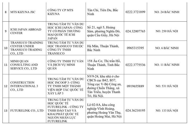 Thêm 60 cơ sở bị đình chỉ xin cấp visa Nhật Bản - ảnh 3