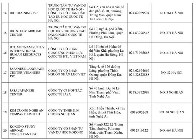 Thêm 60 cơ sở bị đình chỉ xin cấp visa Nhật Bản - ảnh 4