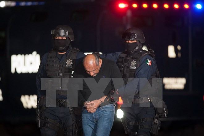 Thêm một trùm băng nhóm tội phạm khét tiếng tại Mexico sa lưới