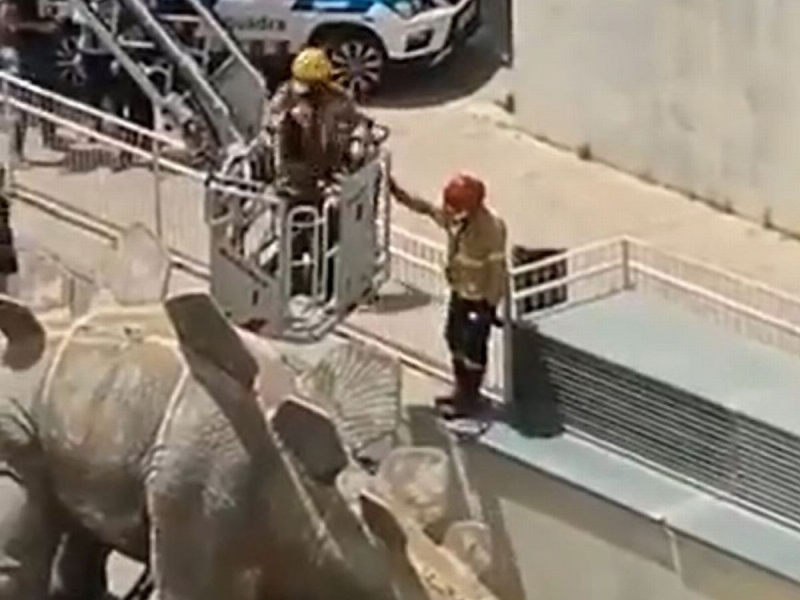 Thiệt mạng vì chui vào bụng tượng khủng long để nhặt điện thoại - ảnh 1