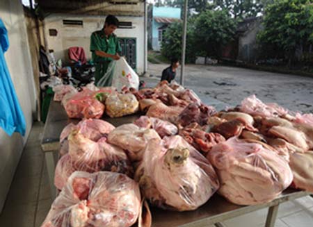 Tránh thịt bẩn tuồn vào thành phố