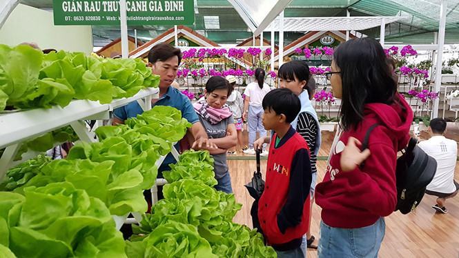 Thời của du lịch canh nông