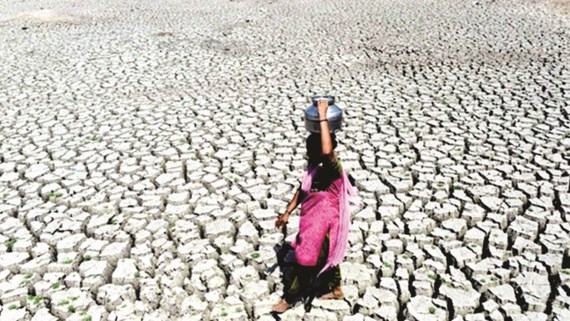 Thời tiết cực đoan gây hại kinh tế toàn cầu