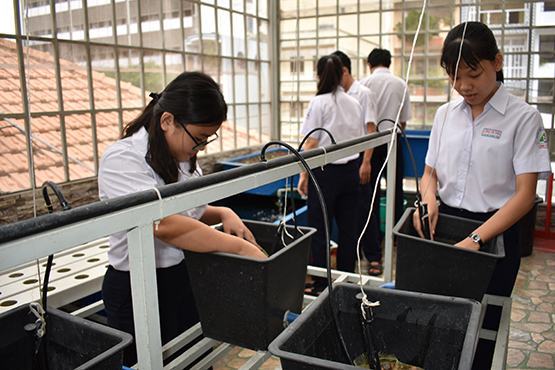 Dạy nghề: Đừng vì không cộng điểm mà… ngó lơ