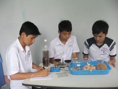 Thu giữ dầu loang bằng vỏ tràm