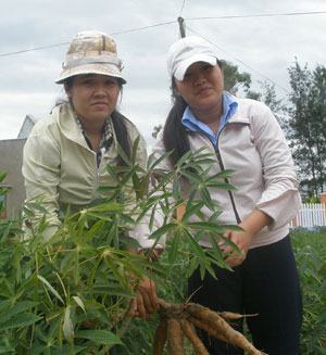 Thủ khoa có điểm thi môn sử cao nhất nước