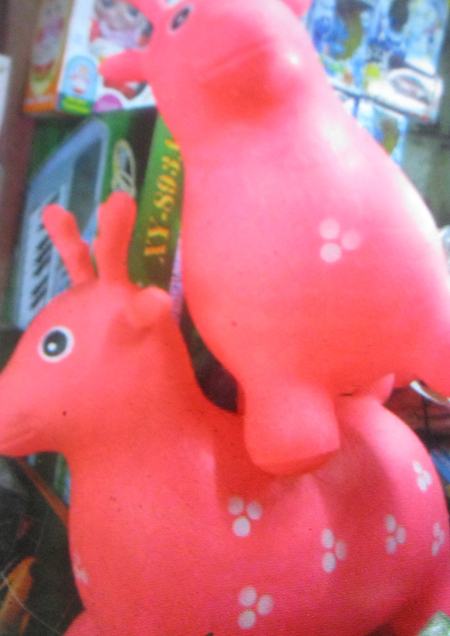 Đến chiều ng&agrave;y 24/1, chỉ c&oacute; duy nhất cửa h&agrave;ng b&aacute;n th&uacute; nh&uacute;n tại phố Lương Văn Can