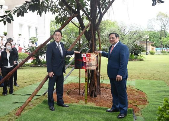 Thủ tướng Phạm Minh Chính đón Thủ tướng Nhật Bản Kishida Fumio  ​ ảnh 4