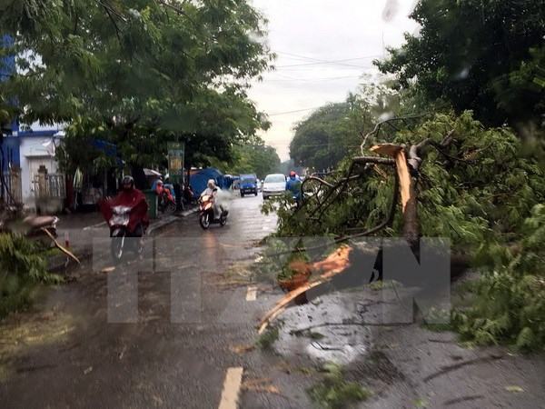 Thừa Thiên-Huế: Mưa lớn kèm lốc xoáy, một phụ nữ mất tích