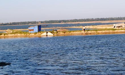 Thừa Thiên – Huế: Người nuôi trồng lao đao vì tôm cá chết bất thường