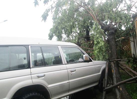 Thừa Thiên – Huế: Nhiều thiệt hại sau áp thấp nhiệt đới