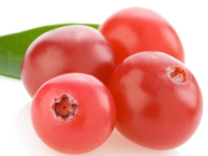 Thực phẩm có lợi cho đường tiết niệu