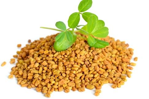 Thực phẩm có lợi cho đường tiết niệu 1