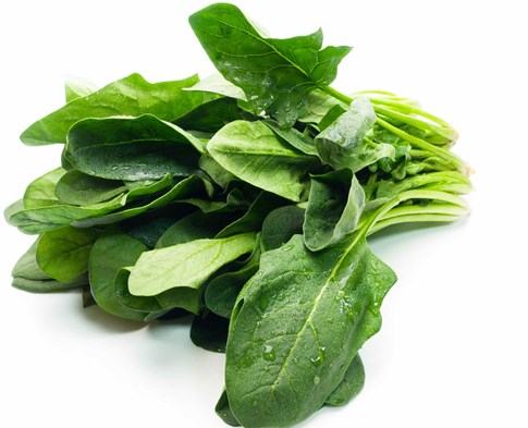 Thực phẩm có lợi cho đường tiết niệu 2