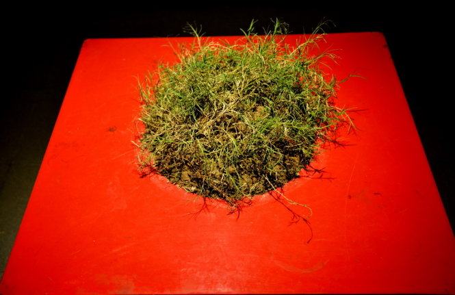 Thưởng thức tác phẩm điêu khắc dưới ánh sáng hồng&nbsp; 