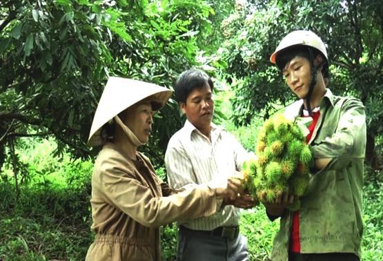 Bắt rừng hoang sinh quả ngọt