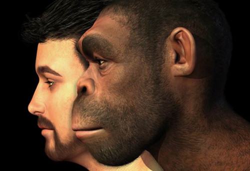 Thuyết tiến hóa sẽ bị loại khỏi chương trình trung học của Thổ Nhĩ Kỳ - ảnh 1