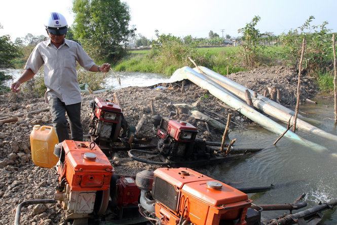 Tiền Giang cứu được 27.000 ha lúa từ hạn, mặn 