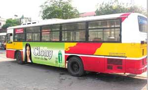 Tìm giải pháp thu hút người đi xe buýt