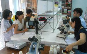 Tìm hướng phát triển nhân lực “vùng trũng”