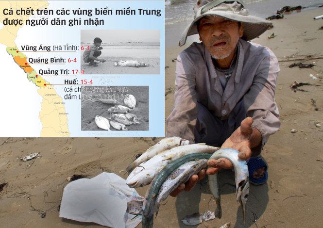 Tìm nguyên nhân cá chết dọc biển miền Trung 