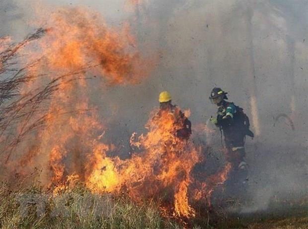 Tim ra phuong phap phong chong chay rung than thien voi moi truong hinh anh 1