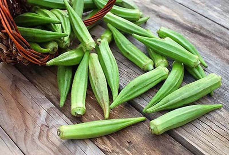 Ăn nhiều đậu bắp có thể cải thiện hiệu quả hệ miễn dịch