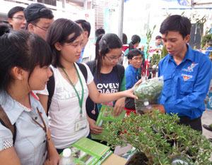 Tôn vinh thanh niên nông thôn làm kinh tế giỏi