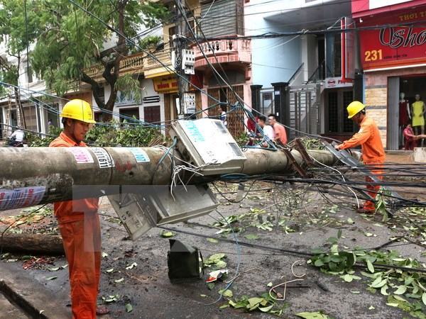 Tổng công ty Điện lực miền Bắc chủ động phòng chống bão số 3