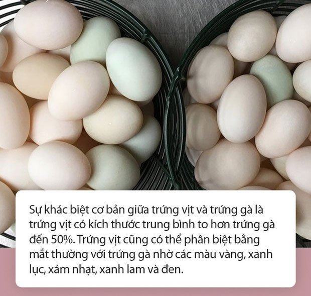 Trứng vịt có kích thước lớn hơn