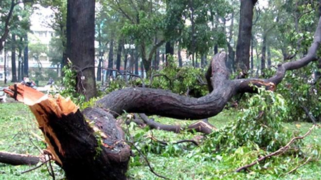 TP HCM lên phương án đối phó áp thấp nhiệt đới