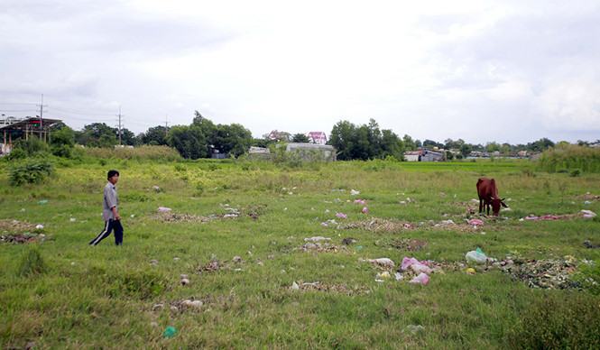 TP.HCM ban hành quy định mới về tách thửa đất