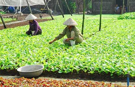 TP.HCM chỉ còn 0,02% hộ nghèo