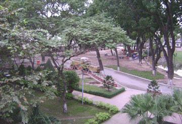 TPHCM: Đề xuất xẻ công viên Hoàng Văn Thụ để làm đường