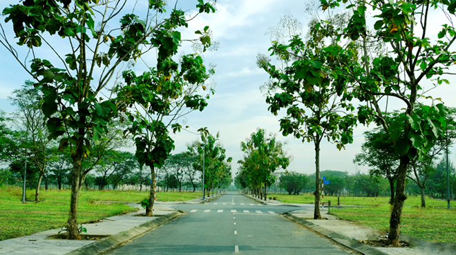 TP.HCM xin hướng dẫn thành lập thành phố phía đông