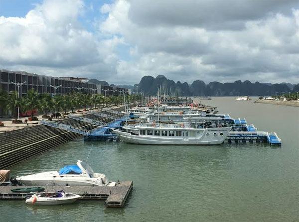 Cảng Tuần Châu sẽ đón 500 tàu du lịch