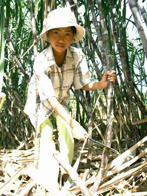 Trẻ nghèo gánh gồng vào năm học